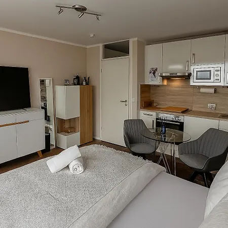 Stunning Panorama Loft & Arena View מינכן